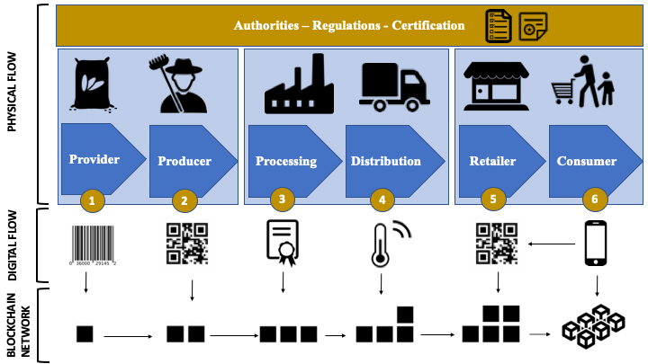 AI-optimized food supply chain visualization