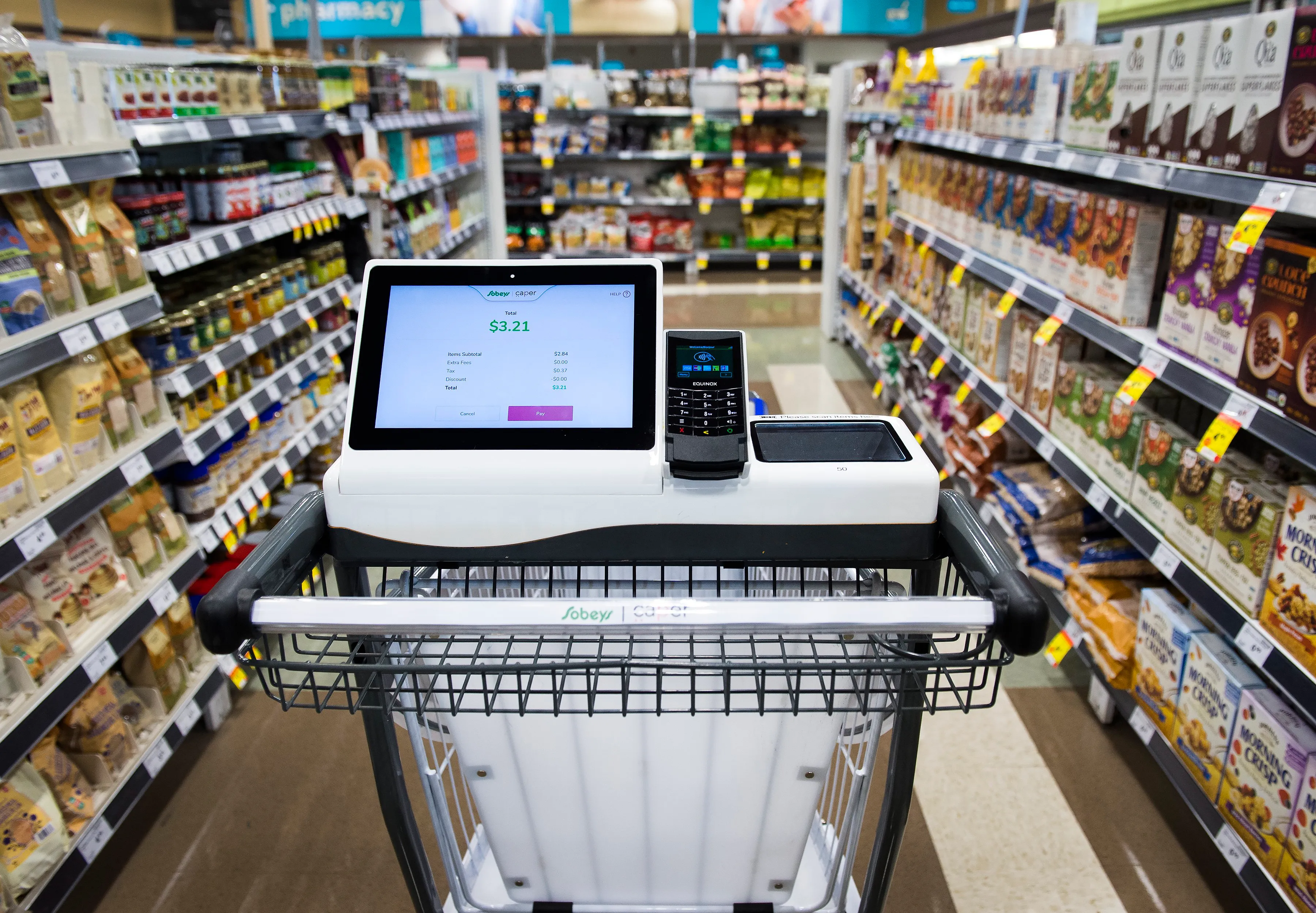 AI-Powered Cart Scanning: Faster Checkout, Lower Costs?