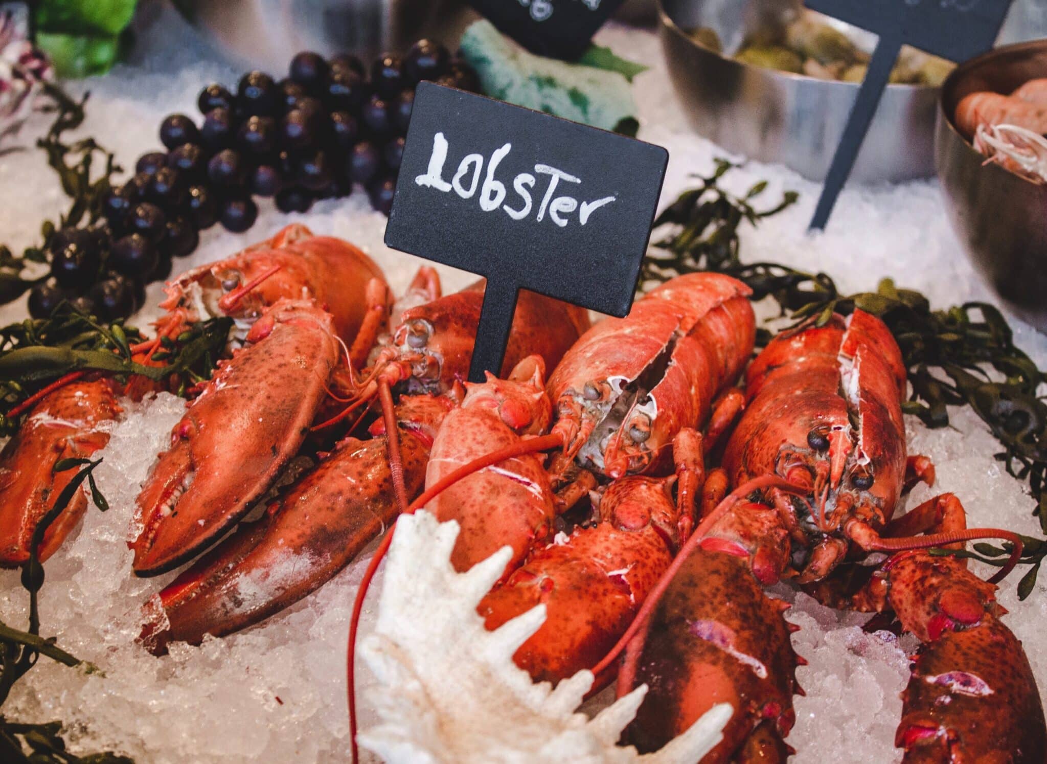 Savor Maine's Seafood: Lobster, Clam Chowder & More