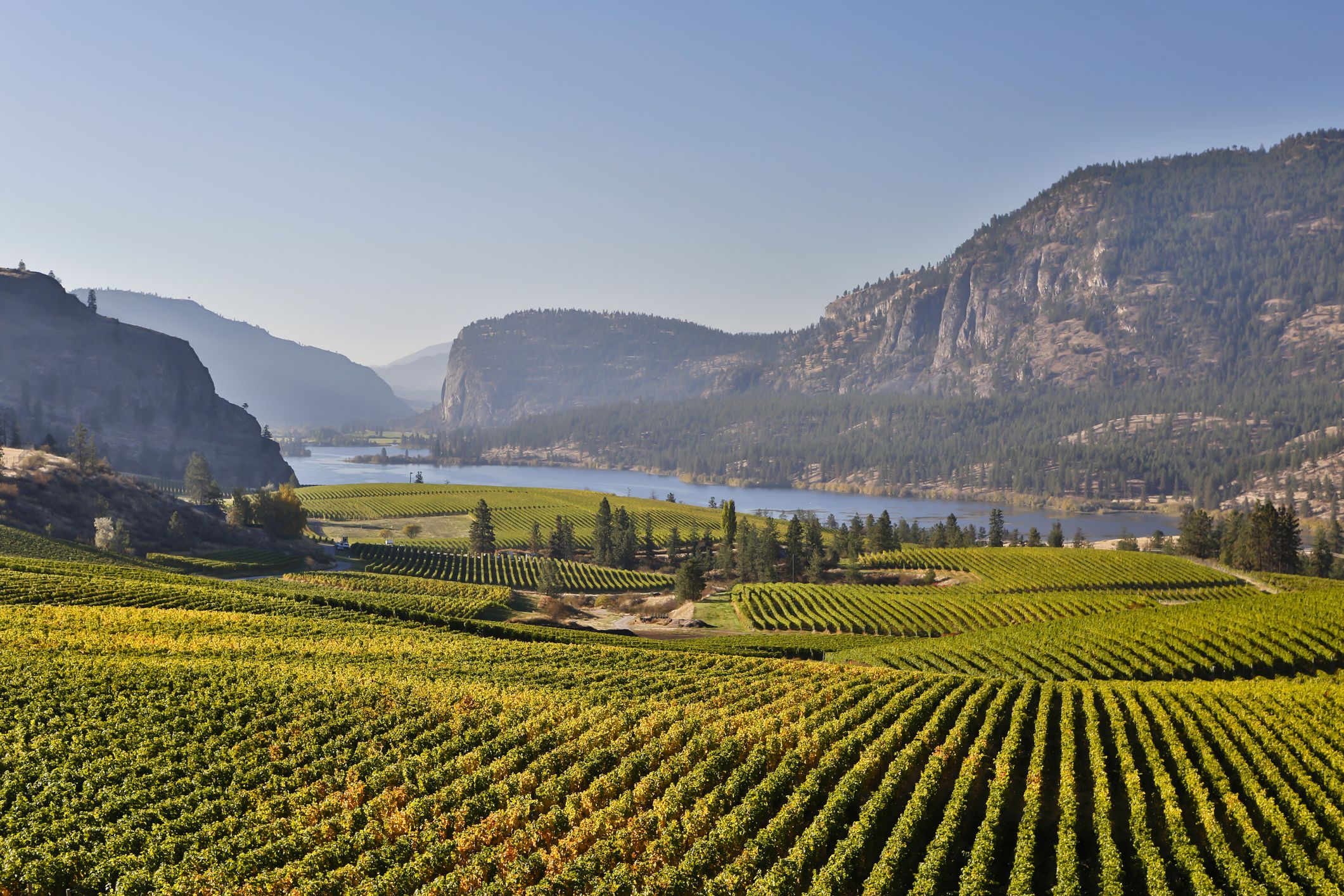 Discover Okanagan Valley: BC's Premier Wine Region