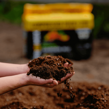 Rich, healthy soil in an organic garden, teeming with earthworms and microbial life.