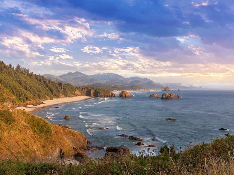 Aerial view of the Pacific Northwest coastline with lush forests meeting the ocean